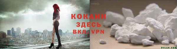 ПСИЛОЦИБИНОВЫЕ ГРИБЫ Протвино