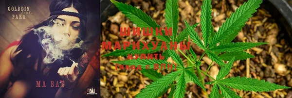 ПСИЛОЦИБИНОВЫЕ ГРИБЫ Протвино