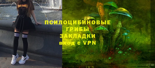 ПСИЛОЦИБИНОВЫЕ ГРИБЫ Протвино