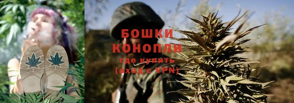 ПСИЛОЦИБИНОВЫЕ ГРИБЫ Протвино