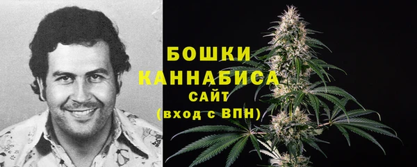 ПСИЛОЦИБИНОВЫЕ ГРИБЫ Протвино